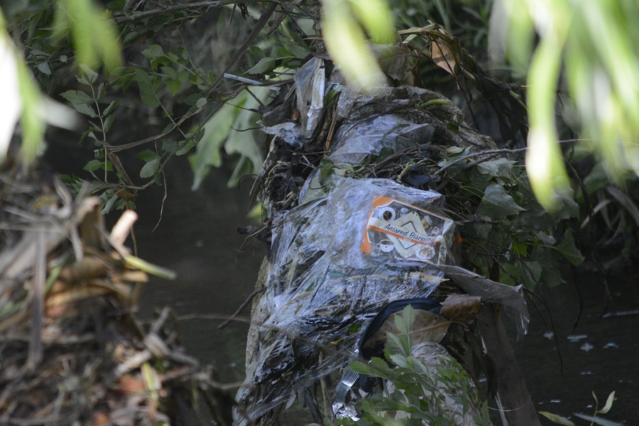 Plastic bags and packaging tangled in branches beside Stony Creek, 26 October 2026