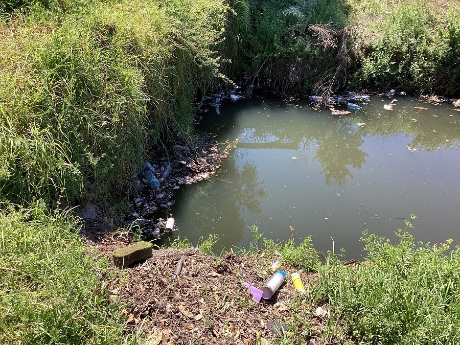 Stony Creek at Duke Street with litter visible in the channel and creekside vegetation, photographed on 18 October 2026