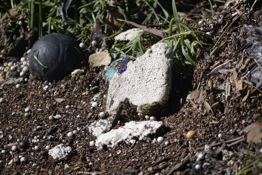 Broken white foam and loose foam beads scattered on soil among vegetation beside Stony Creek, 26 October 2026